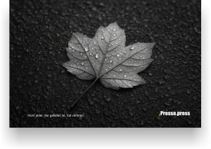 Gefallen - weil das Leben nicht nur aus Aufstehen besteht.– als Poster, Leinwand oder Postkarte